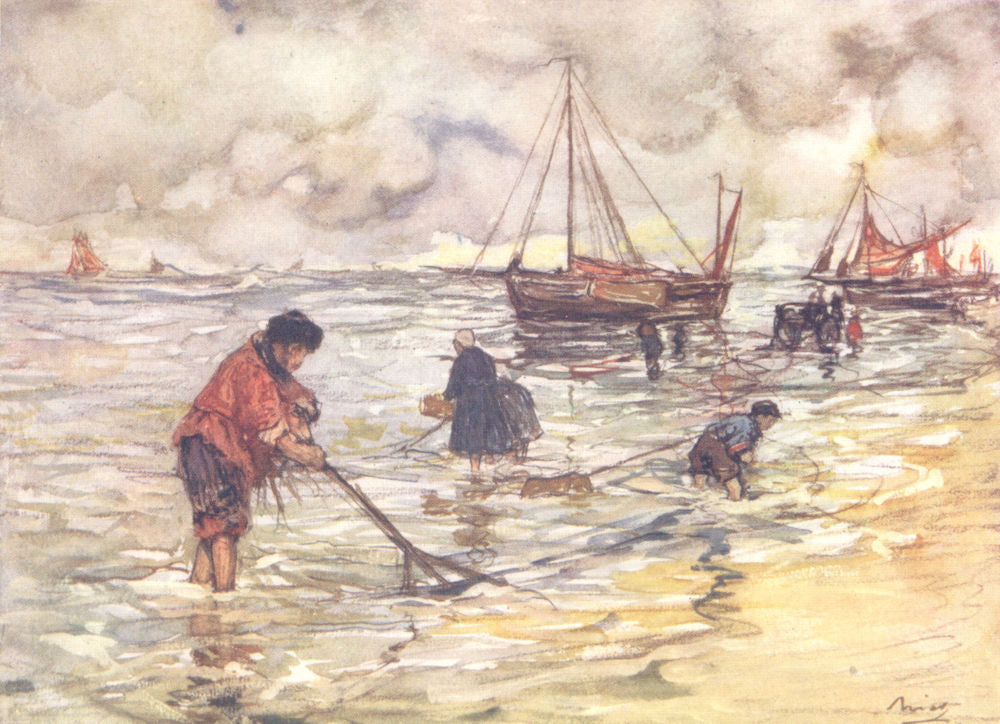 NETHERLANDS. Utrecht. Shrimp-fishing 1904 old antique vintage print picture